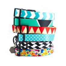 溫州平陽好農(nóng)夫?qū)櫸镉闷窂S 專注寵物用品生產(chǎn)與創(chuàng)新