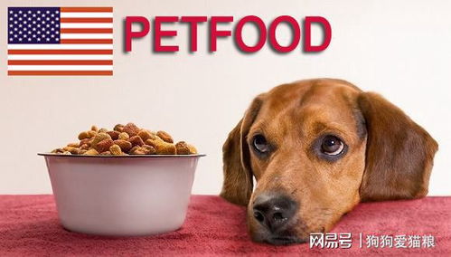 進口飼料及飼料添加劑與寵物美容服務的常見問題解析