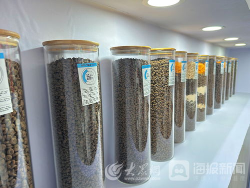 山東一貫寵物用品公司 以高質(zhì)量產(chǎn)品領跑寵物經(jīng)濟賽道
