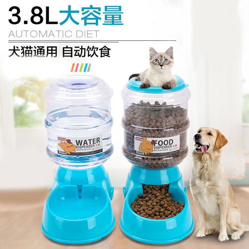 寵物飲水與喂食解決方案 自動設備的優(yōu)勢與美容服務結合