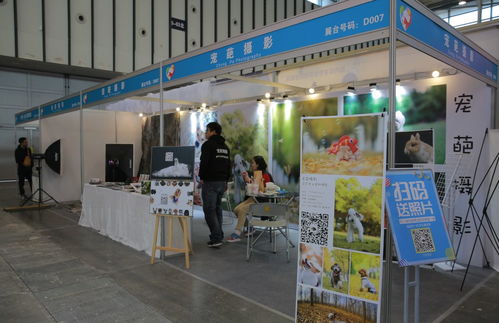 逛完南京寵物文化節(jié)，我感受到了“人不如狗”的滋味 寵物美容服務的極致關懷