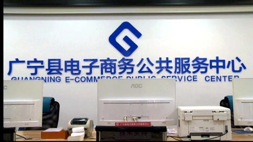 完善服務體系，技術賦能電商 我縣電子商務發展的新篇章